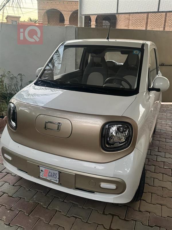 بيستون بوني 2024 للبيع في العراق -  بغداد